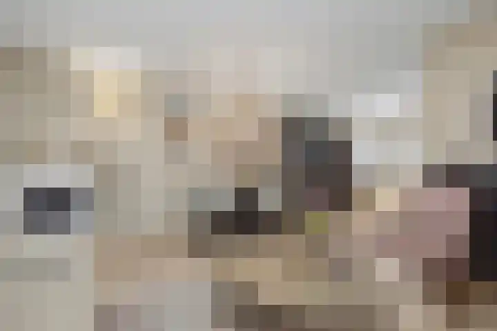 Zichtweide 16 Nieuwegein thumbnail 4