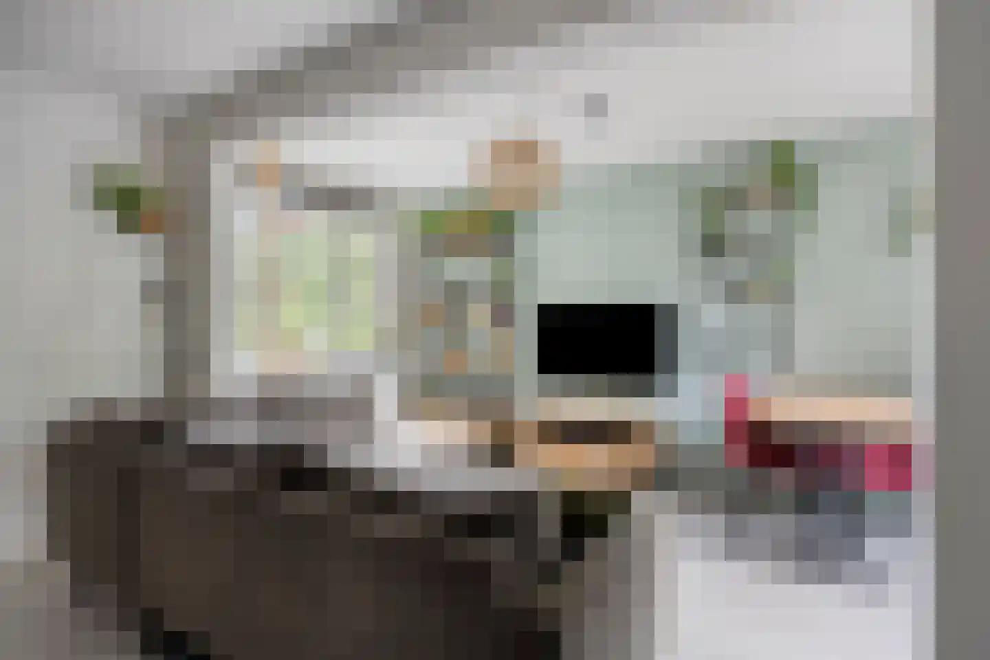 Ziederij 26 Alkmaar thumbnail 11
