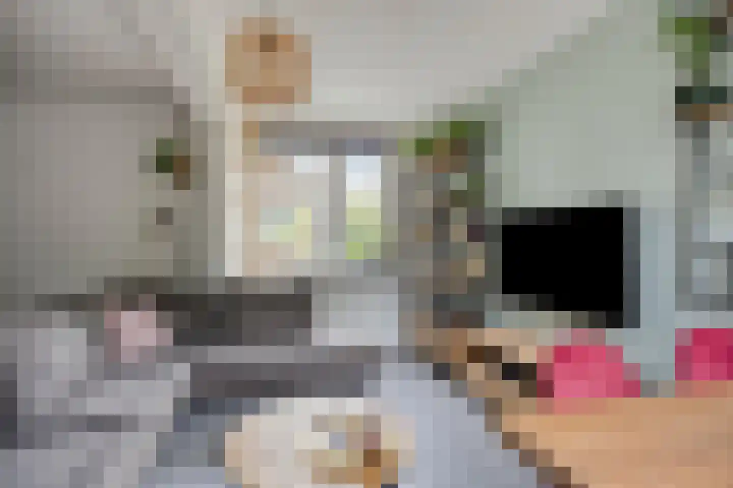 Ziederij 26 Alkmaar thumbnail 12