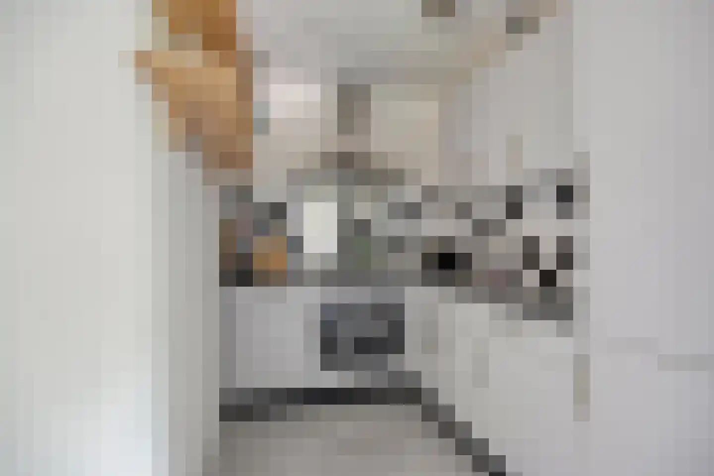 Ziederij 26 Alkmaar thumbnail 16