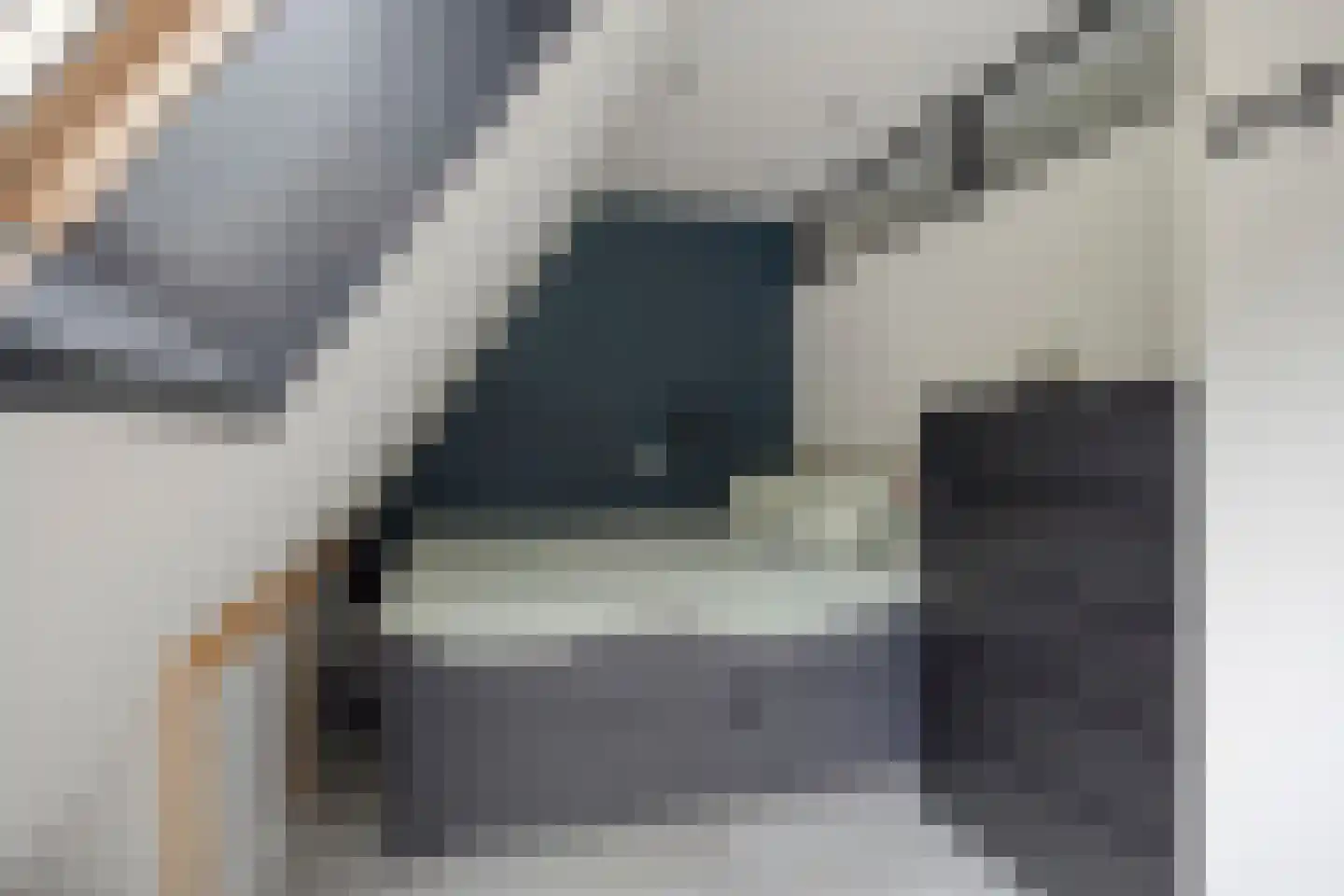 Ziederij 26 Alkmaar thumbnail 18