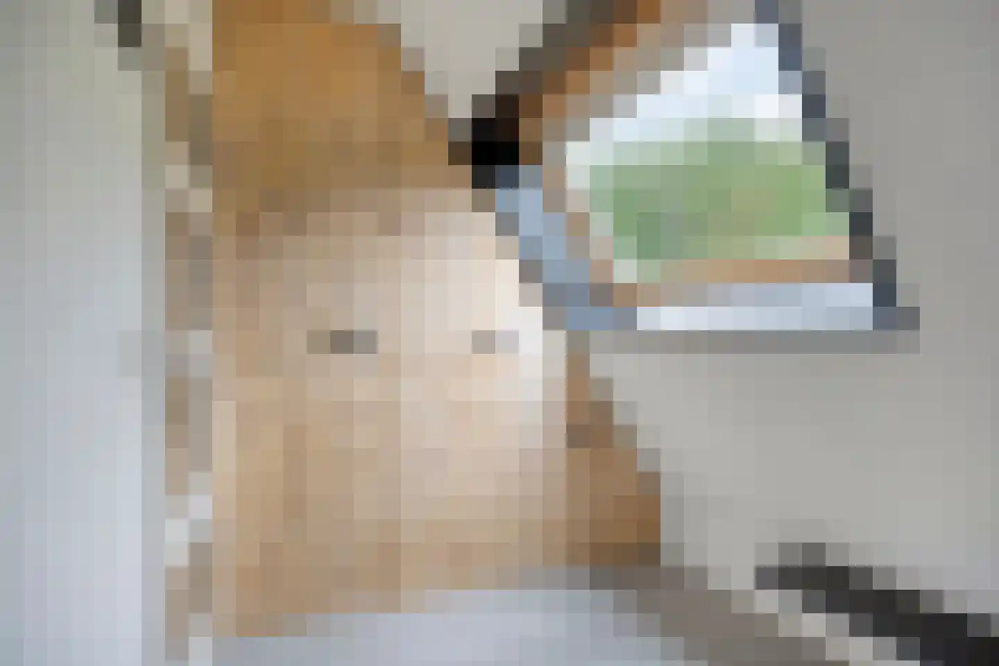 Ziederij 26 Alkmaar thumbnail 19