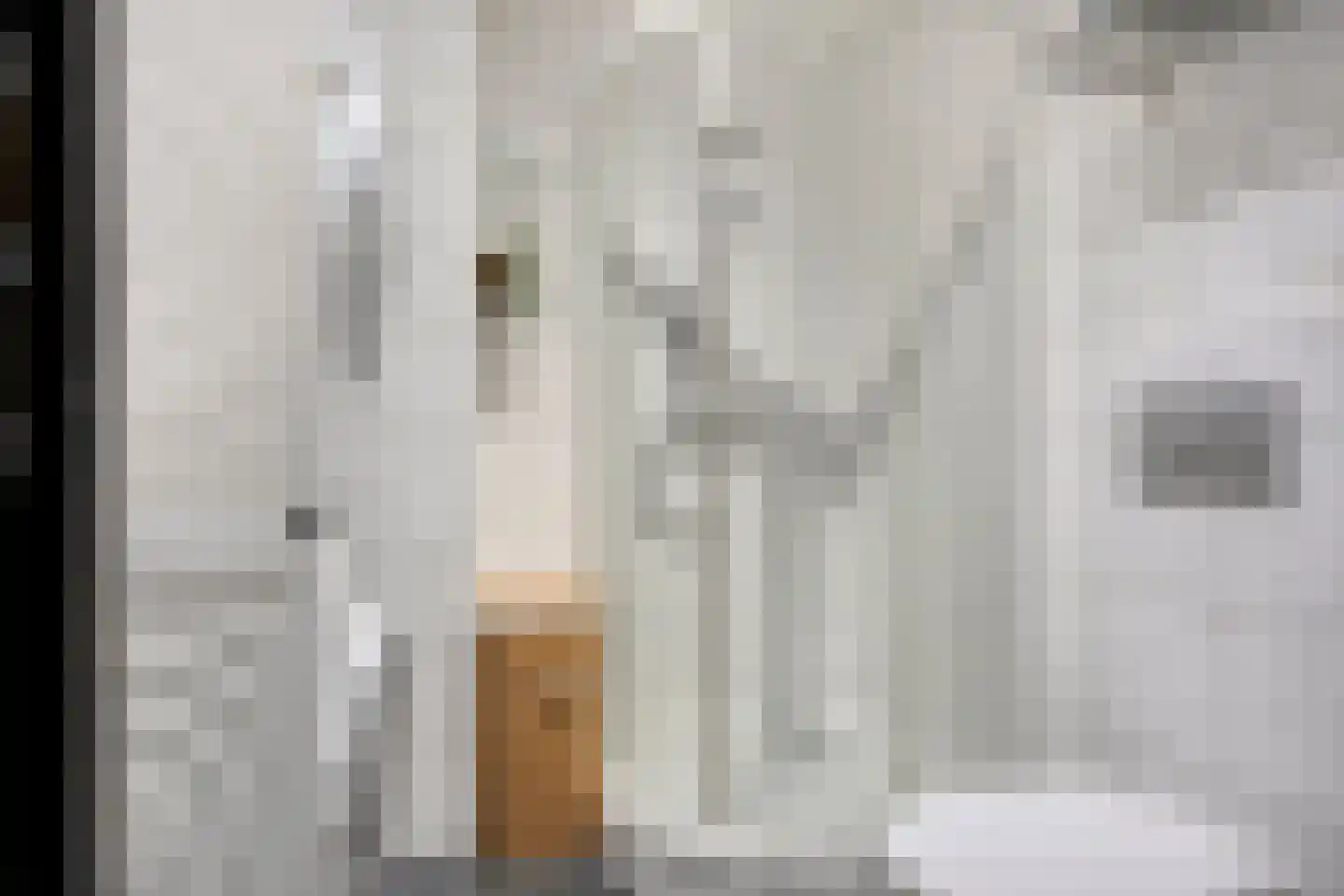 Ziederij 26 Alkmaar thumbnail 20