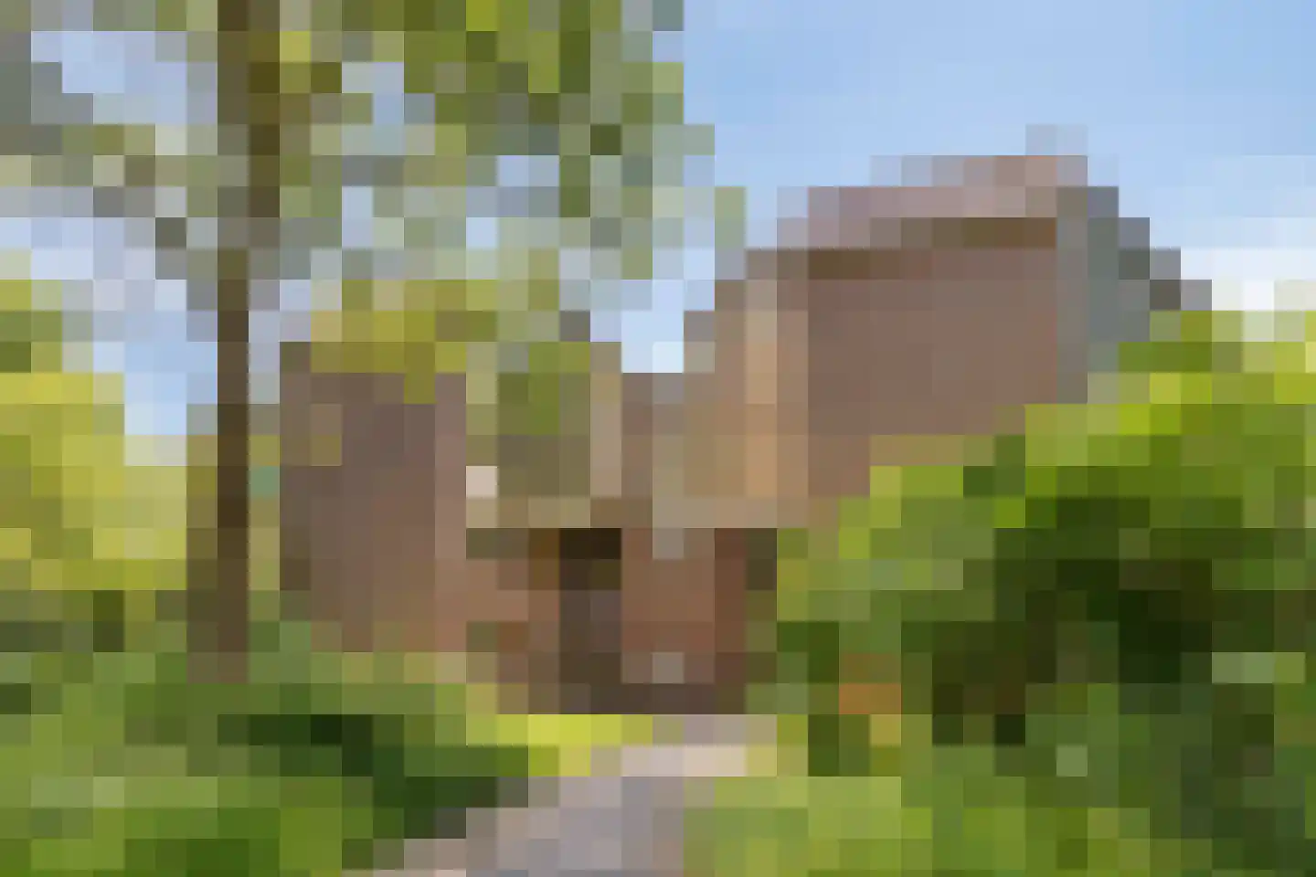 Ziederij 26 Alkmaar thumbnail 5