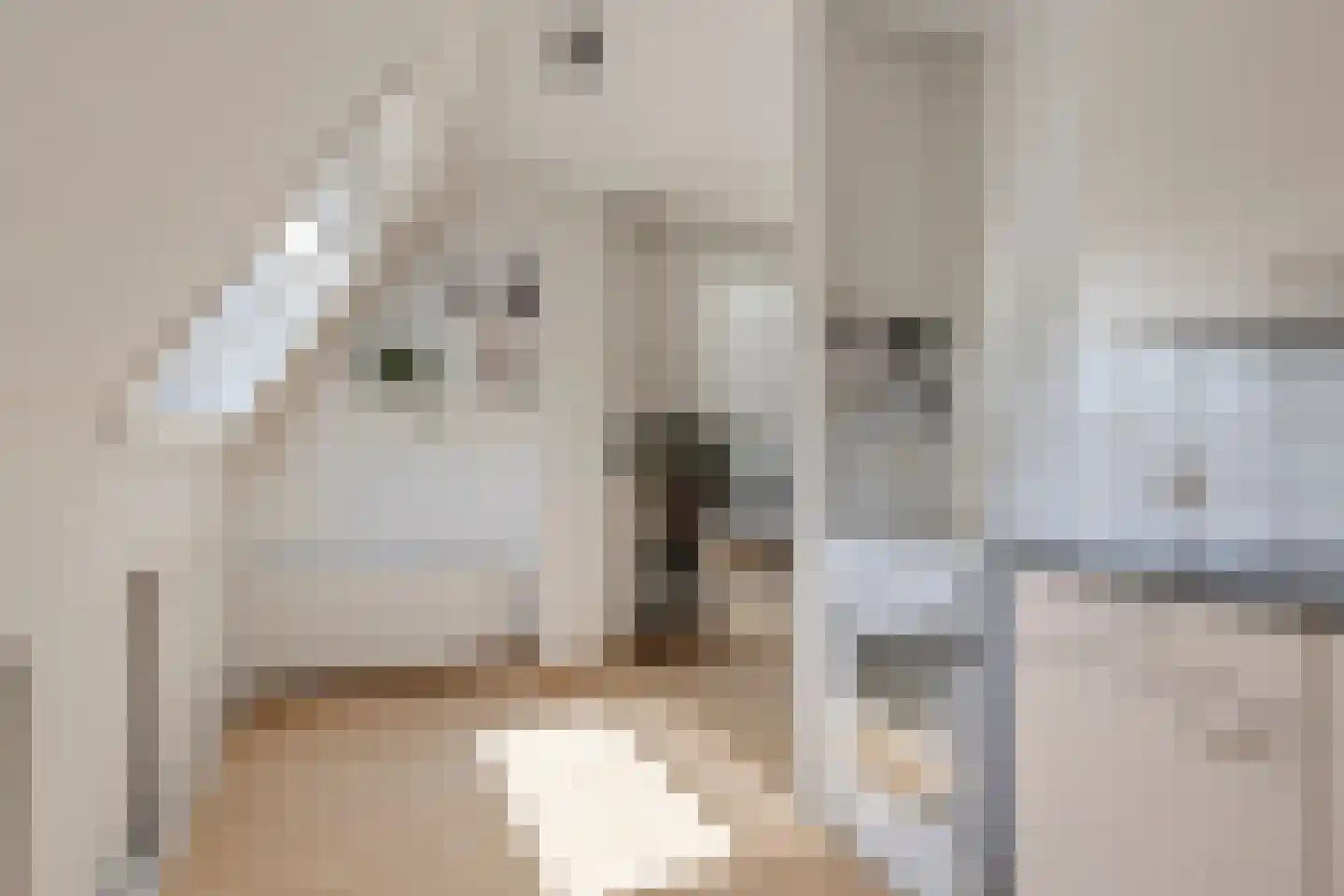 Ziederij 30 Alkmaar thumbnail 22