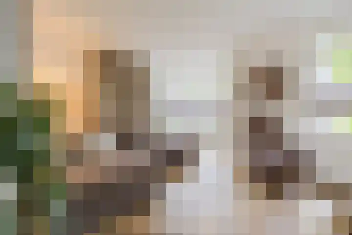 Ziederijsingel 4 Raamsdonksveer thumbnail 10
