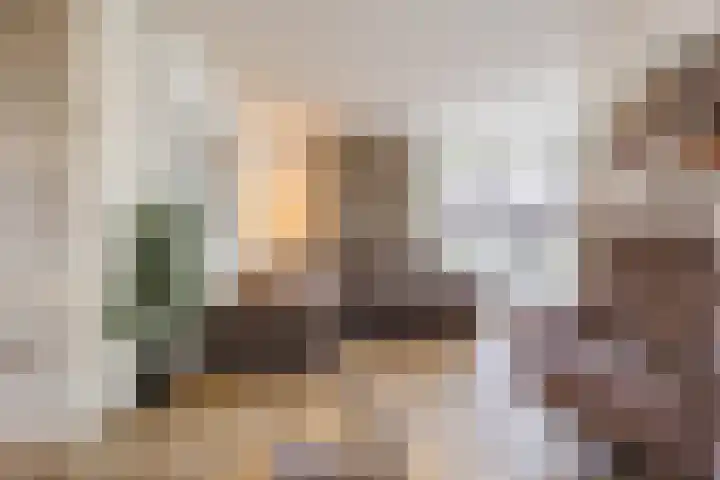 Ziederijsingel 4 Raamsdonksveer thumbnail 11