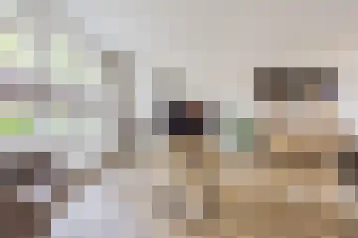 Ziederijsingel 4 Raamsdonksveer thumbnail 12