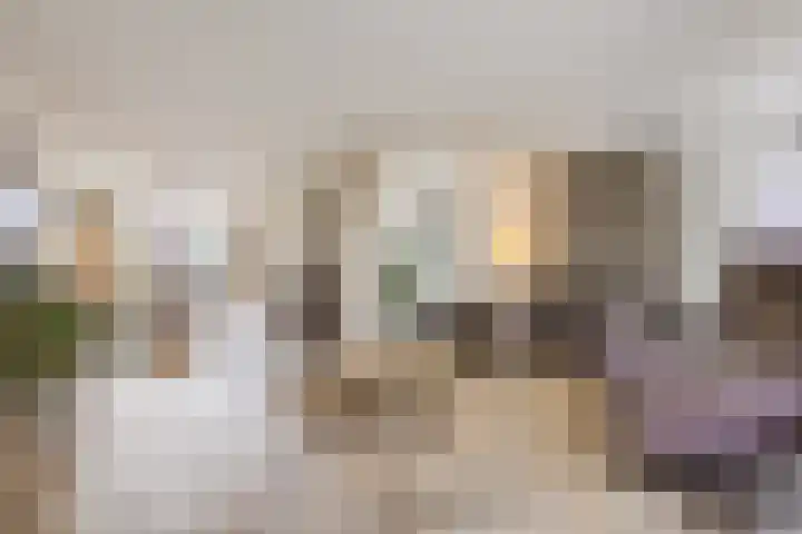 Ziederijsingel 4 Raamsdonksveer thumbnail 13