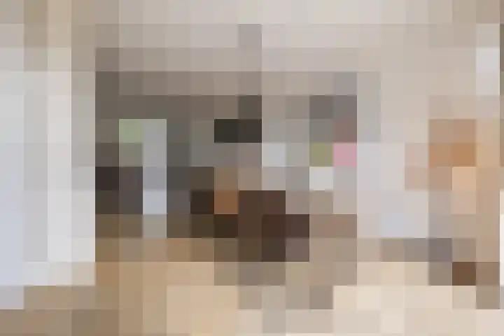 Ziederijsingel 4 Raamsdonksveer thumbnail 15