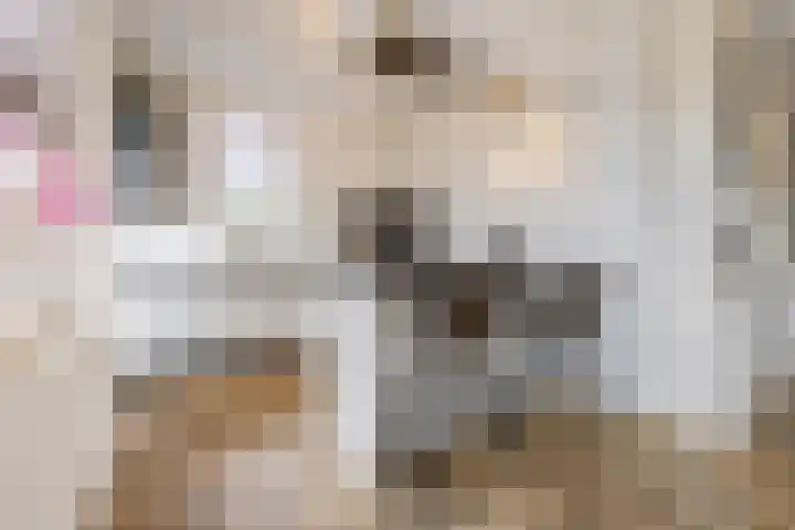 Ziederijsingel 4 Raamsdonksveer thumbnail 16
