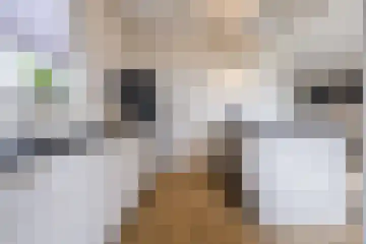 Ziederijsingel 4 Raamsdonksveer thumbnail 17