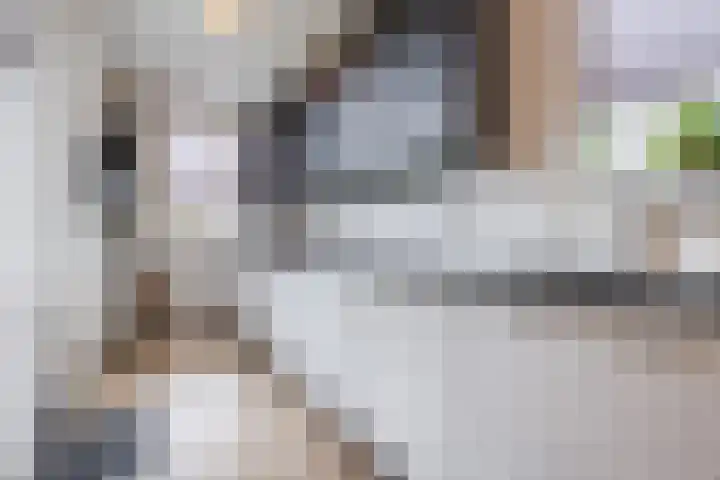 Ziederijsingel 4 Raamsdonksveer thumbnail 19