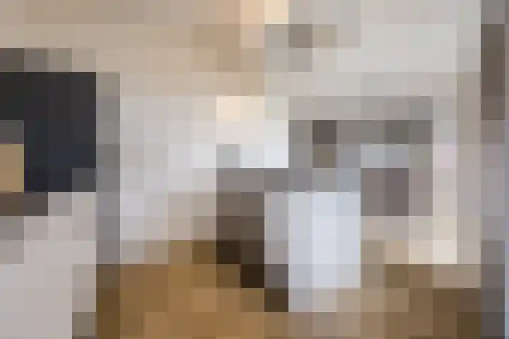 Ziederijsingel 4 Raamsdonksveer thumbnail 20