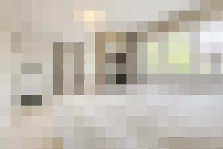 Ziederijsingel 4 Raamsdonksveer thumbnail 23