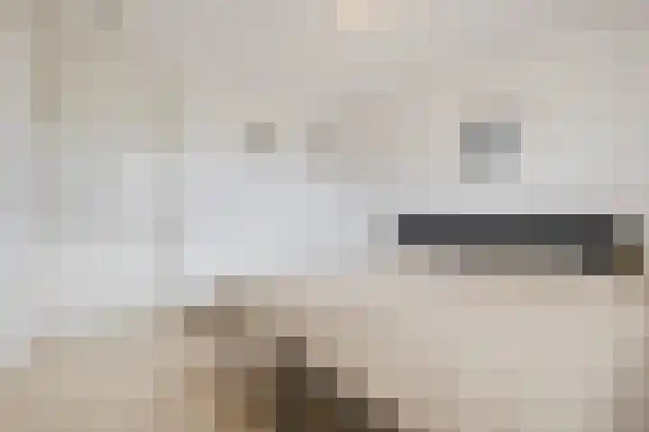 Ziederijsingel 4 Raamsdonksveer thumbnail 26