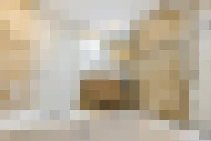 Ziederijsingel 4 Raamsdonksveer thumbnail 30