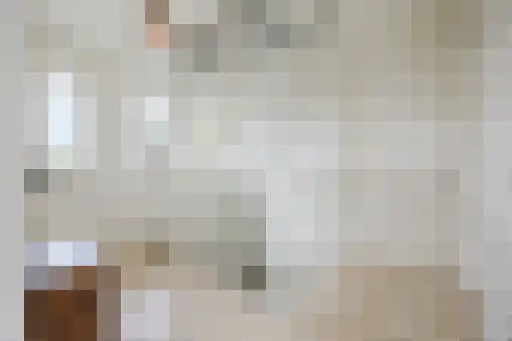 Ziederijsingel 4 Raamsdonksveer thumbnail 33