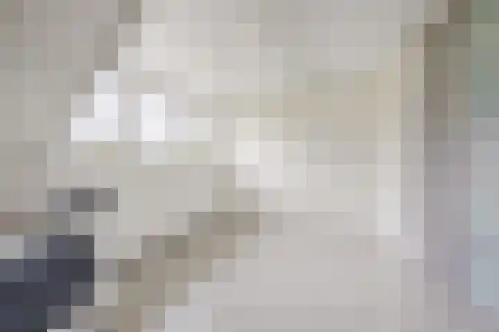Ziederijsingel 4 Raamsdonksveer thumbnail 36