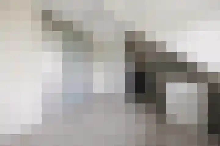 Ziederijsingel 4 Raamsdonksveer thumbnail 37