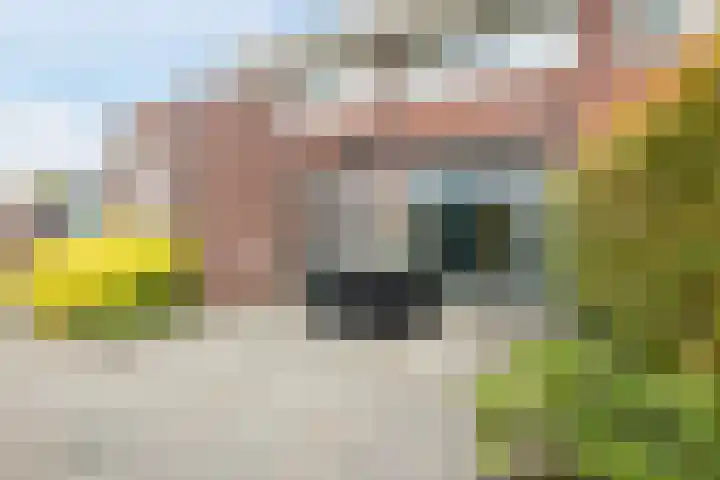 Ziederijsingel 4 Raamsdonksveer thumbnail 39