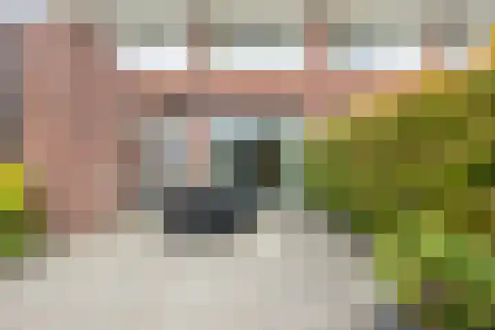Ziederijsingel 4 Raamsdonksveer thumbnail 46