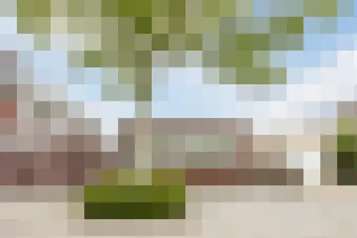 Ziederijsingel 4 Raamsdonksveer thumbnail 47
