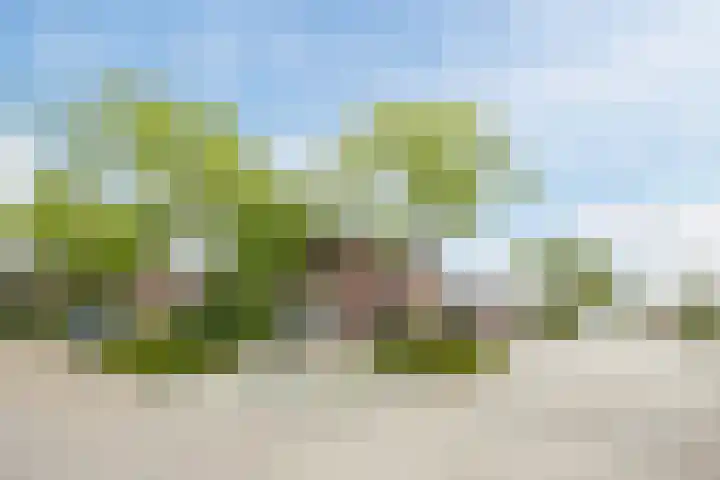 Ziederijsingel 4 Raamsdonksveer thumbnail 5