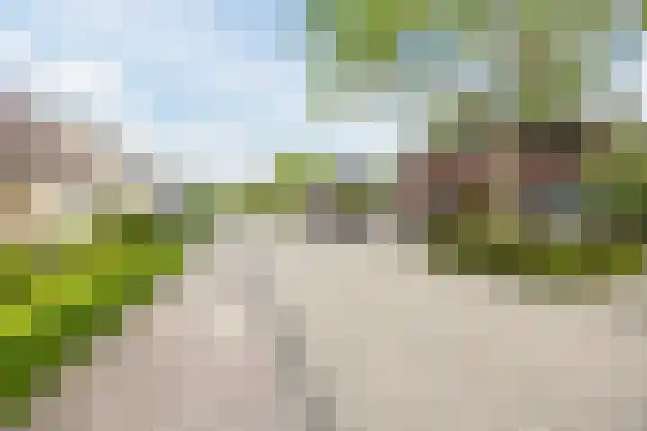 Ziederijsingel 4 Raamsdonksveer thumbnail 55