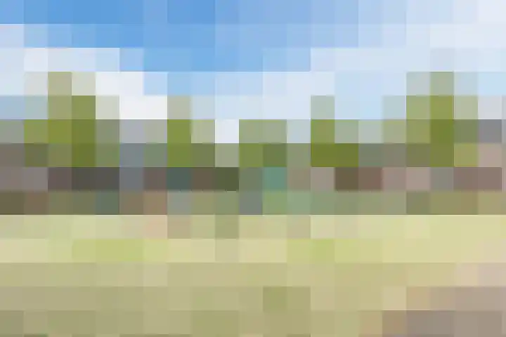 Ziederijsingel 4 Raamsdonksveer thumbnail 56