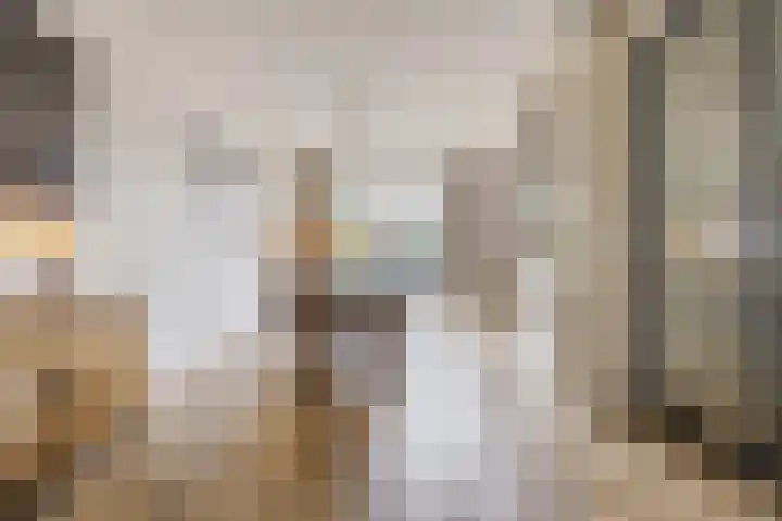 Ziederijsingel 4 Raamsdonksveer thumbnail 9
