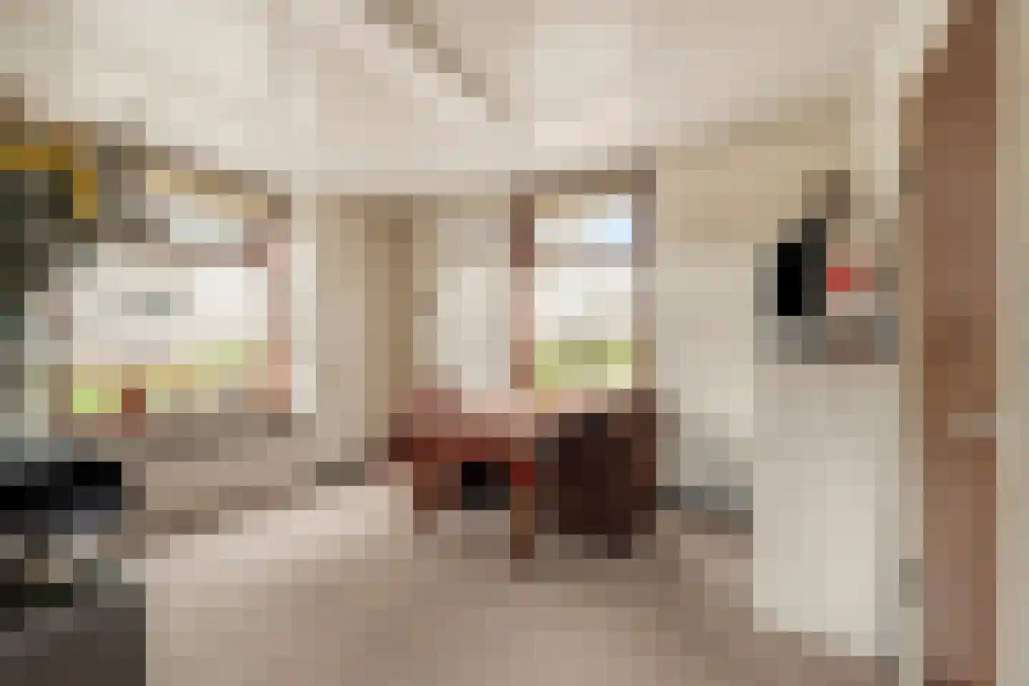 Ziedewijdsedijk 53 Barendrecht thumbnail 11