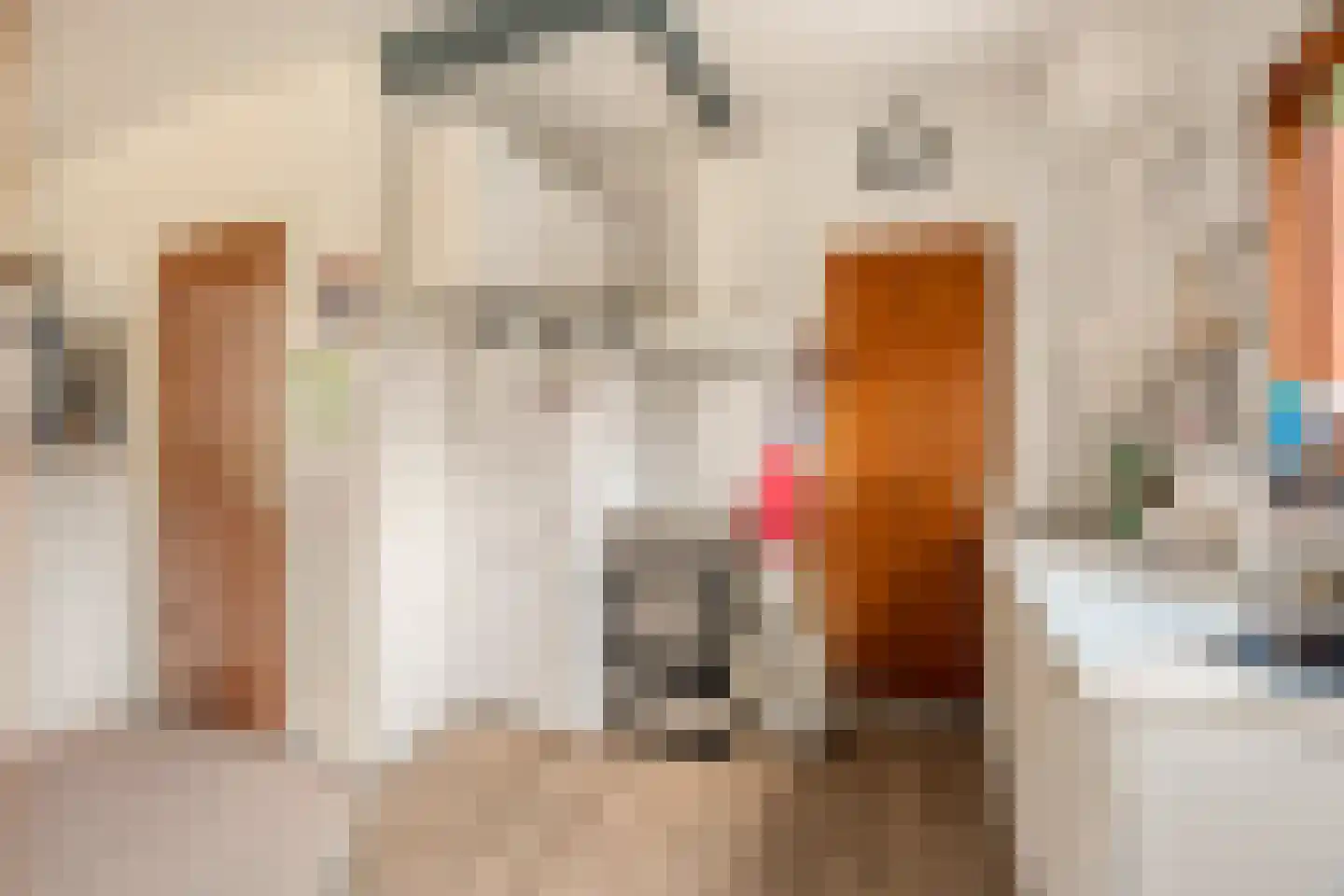 Ziedewijdsedijk 53 Barendrecht thumbnail 15