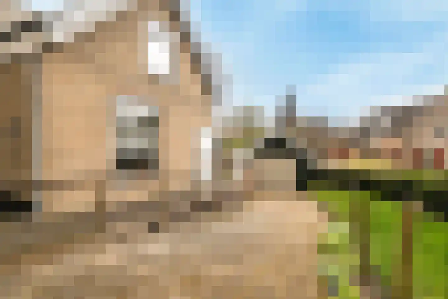 Ziedewijdsedijk 53 Barendrecht thumbnail 24
