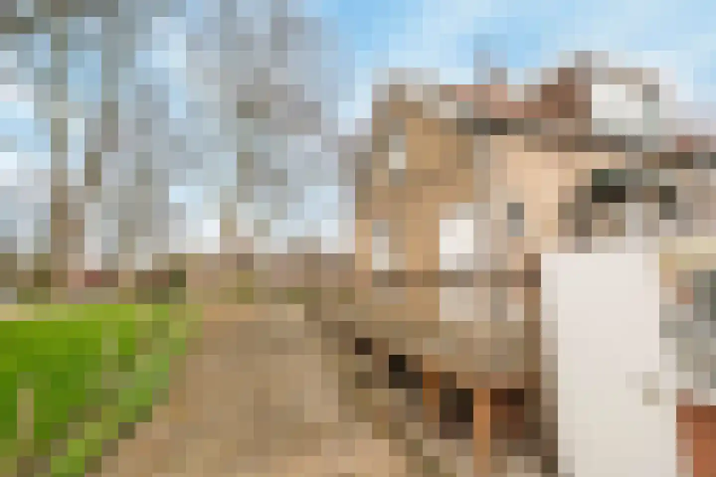 Ziedewijdsedijk 53 Barendrecht thumbnail 26