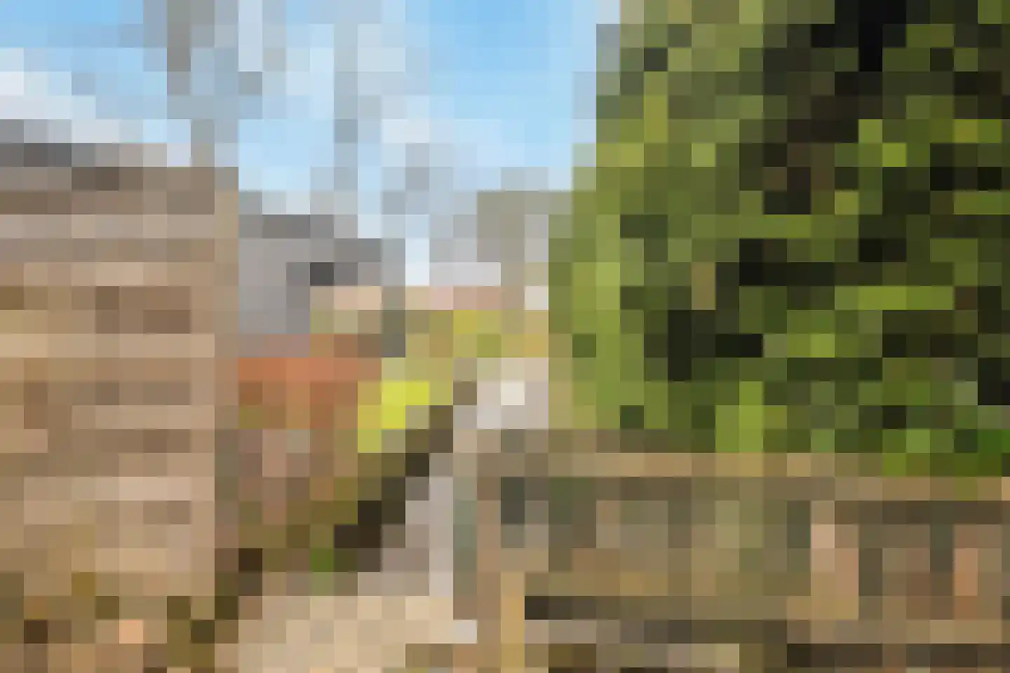 Ziedewijdsedijk 53 Barendrecht thumbnail 33