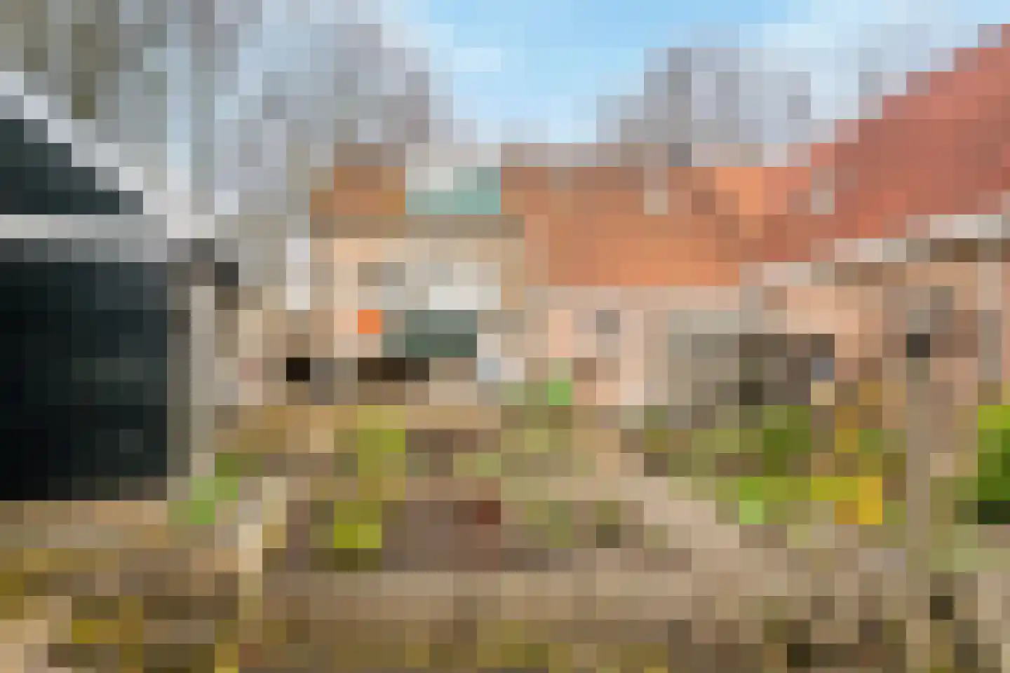 Ziedewijdsedijk 53 Barendrecht thumbnail 34