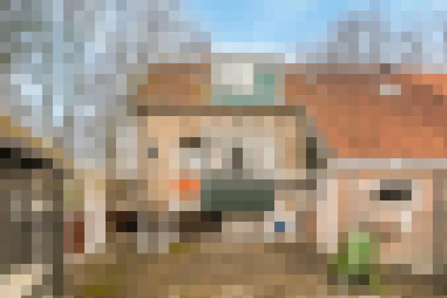 Ziedewijdsedijk 53 Barendrecht thumbnail 35