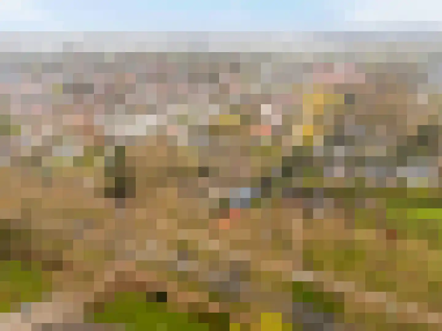 Ziedewijdsedijk 53 Barendrecht thumbnail 37