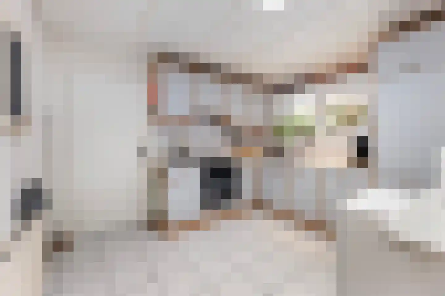 Ziekenhuisstraat 21 Hengelo thumbnail 11