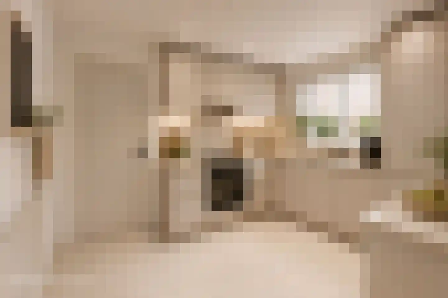 Ziekenhuisstraat 21 Hengelo thumbnail 12