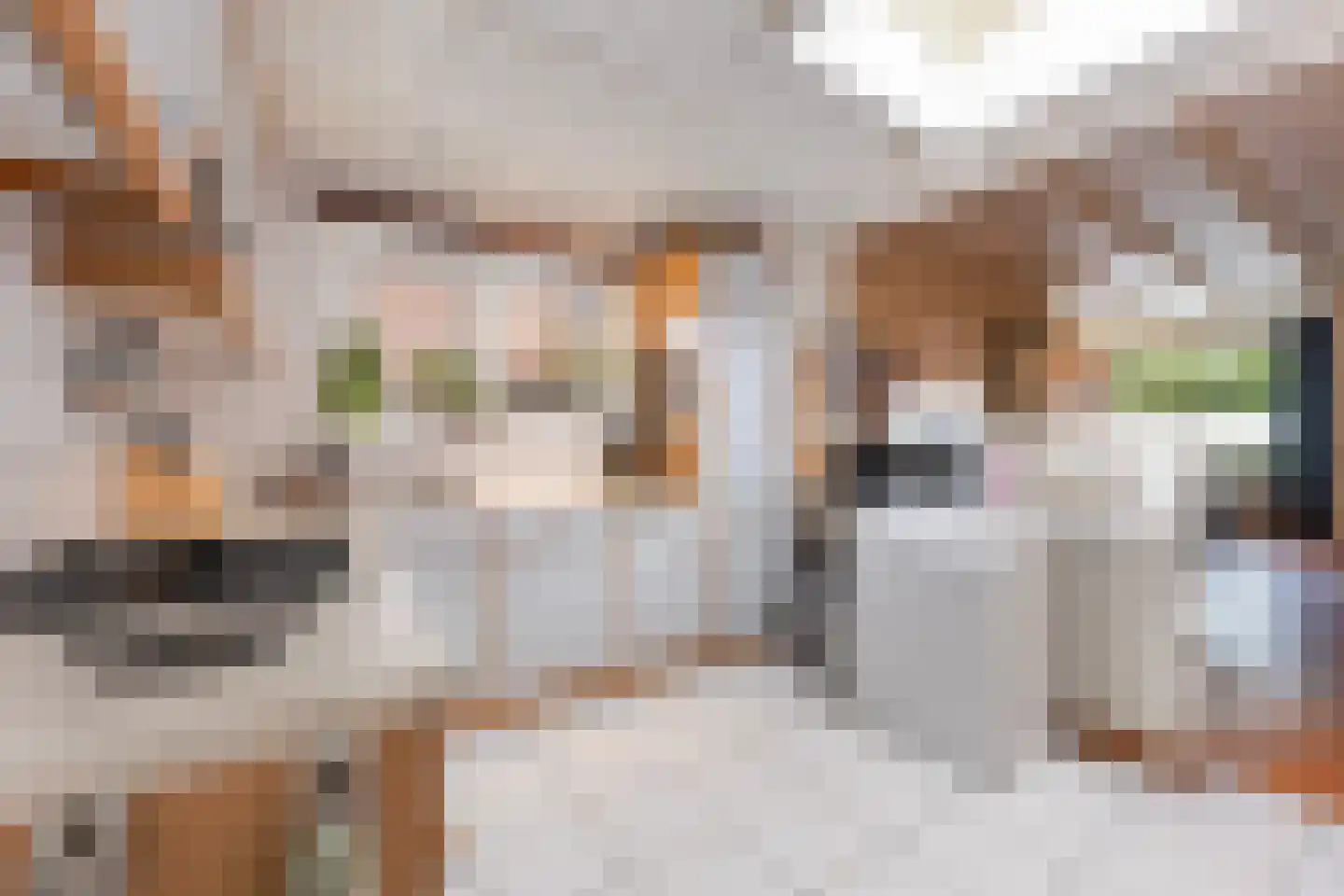 Ziekenhuisstraat 21 Hengelo thumbnail 13