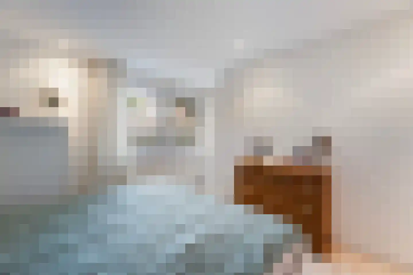 Ziekenhuisstraat 21 Hengelo thumbnail 17