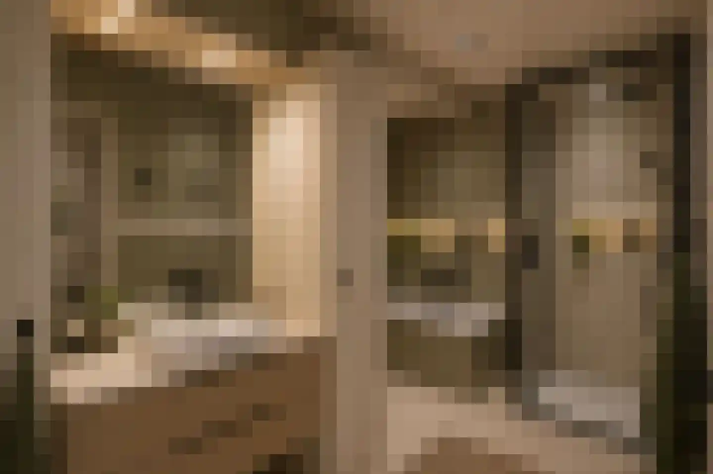 Ziekenhuisstraat 21 Hengelo thumbnail 20