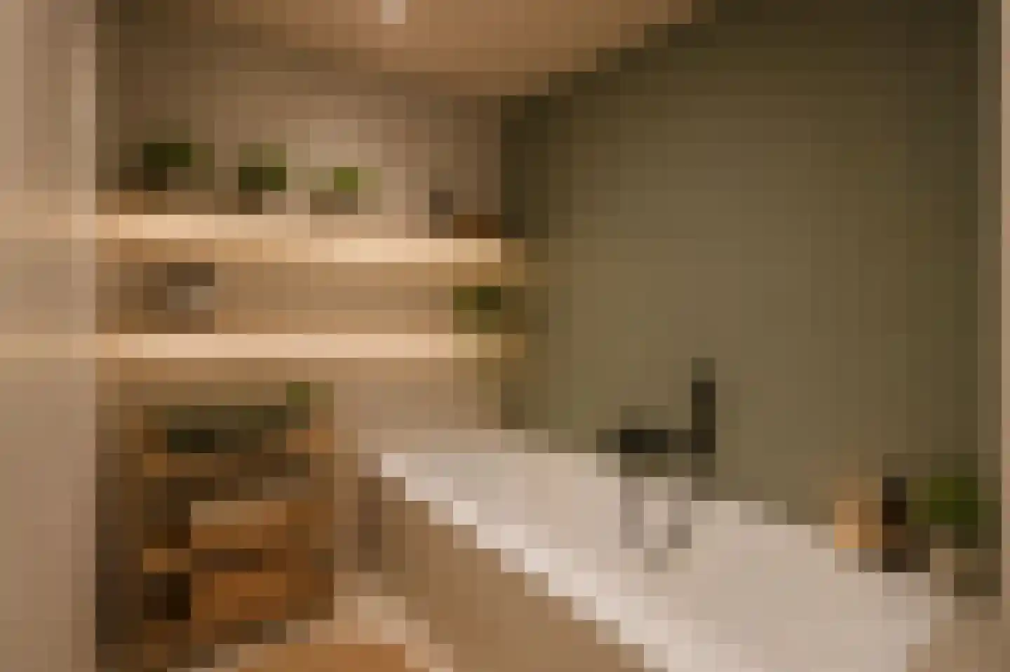 Ziekenhuisstraat 21 Hengelo thumbnail 22