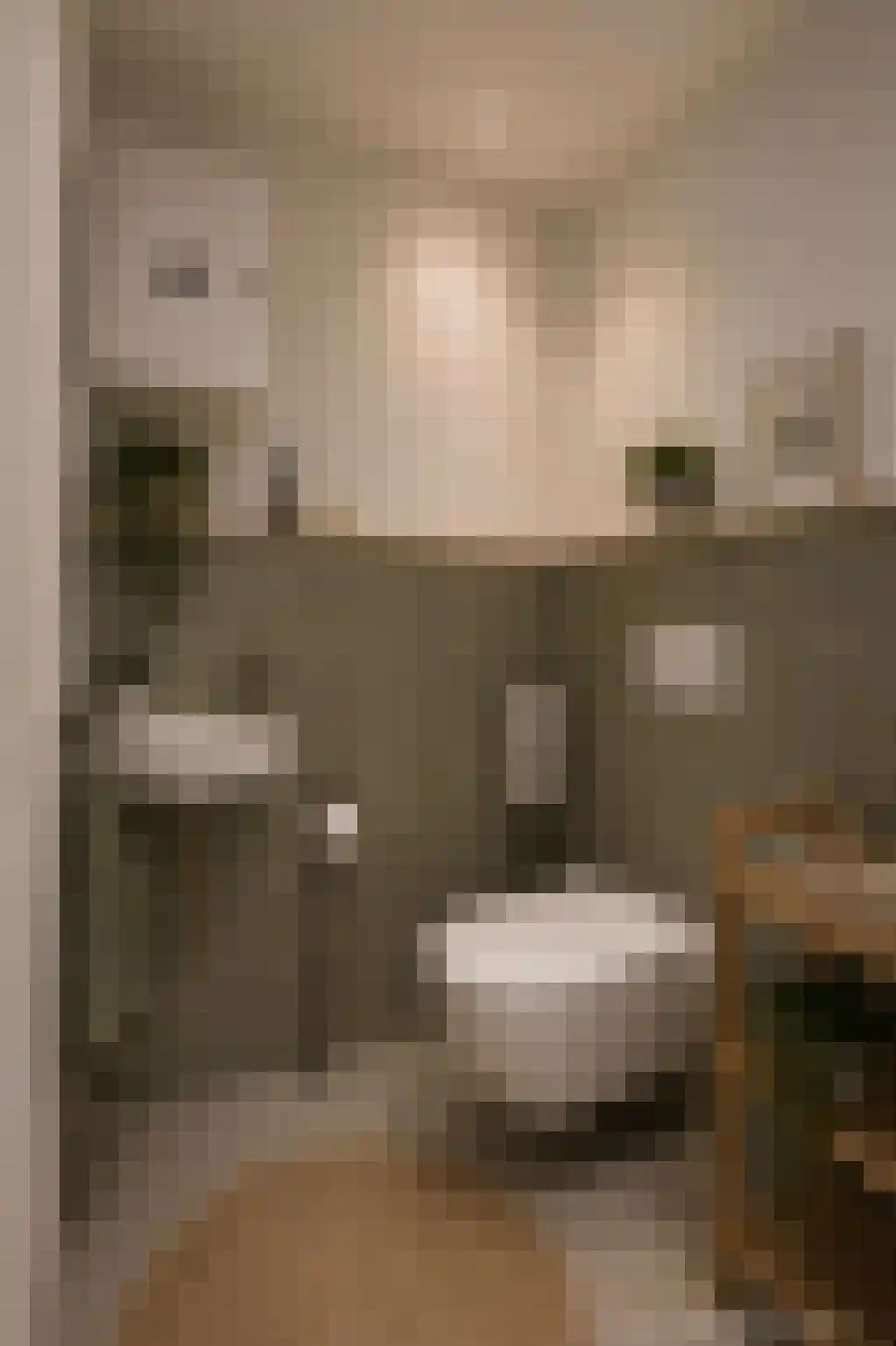 Ziekenhuisstraat 21 Hengelo thumbnail 24