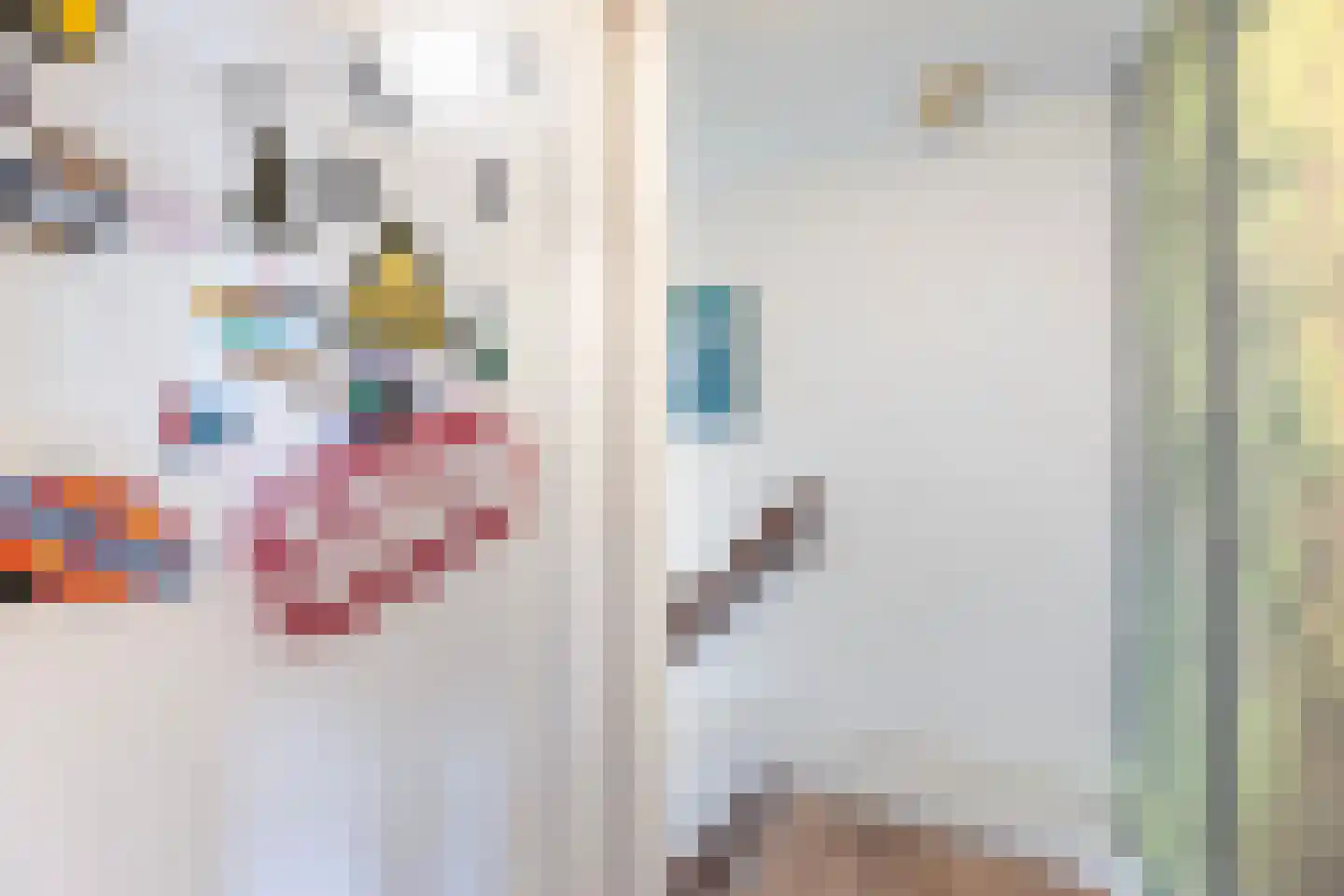 Ziekenhuisstraat 21 Hengelo thumbnail 27