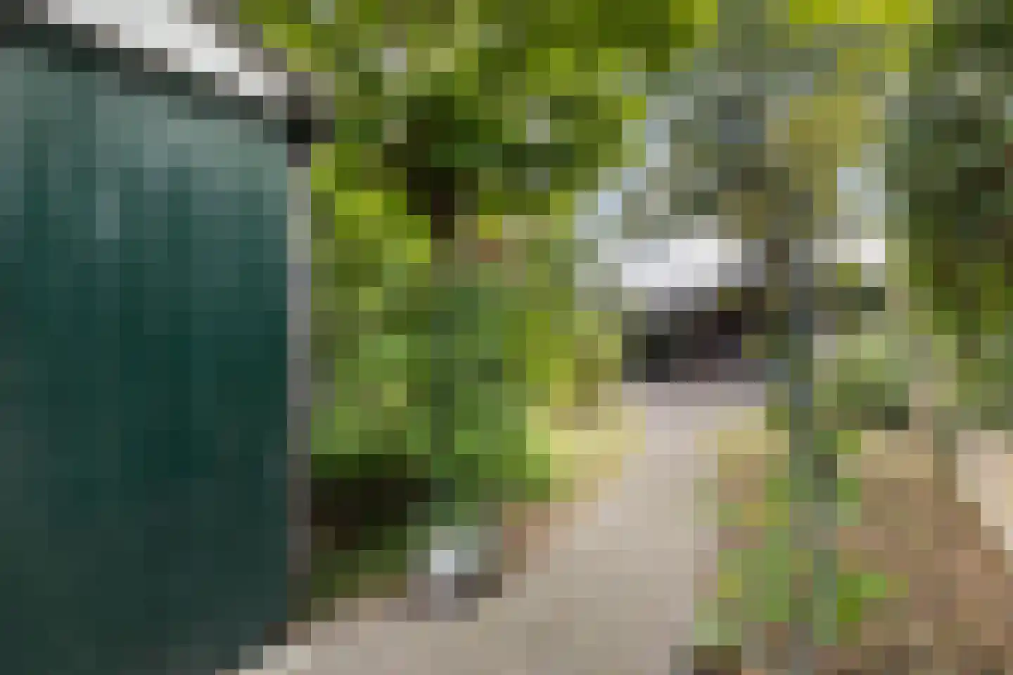 Ziekenhuisstraat 21 Hengelo thumbnail 35