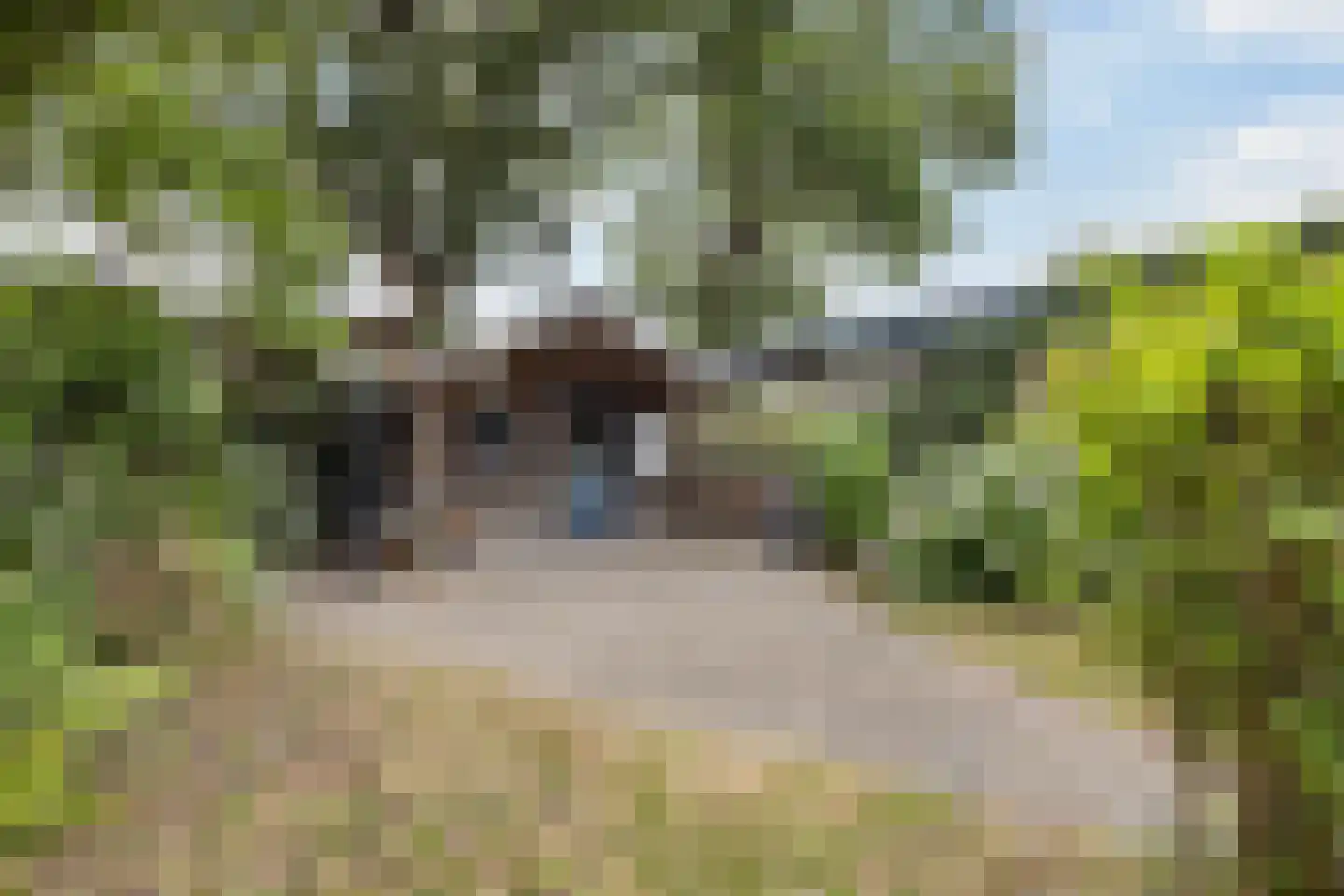 Ziekenhuisstraat 21 Hengelo thumbnail 37