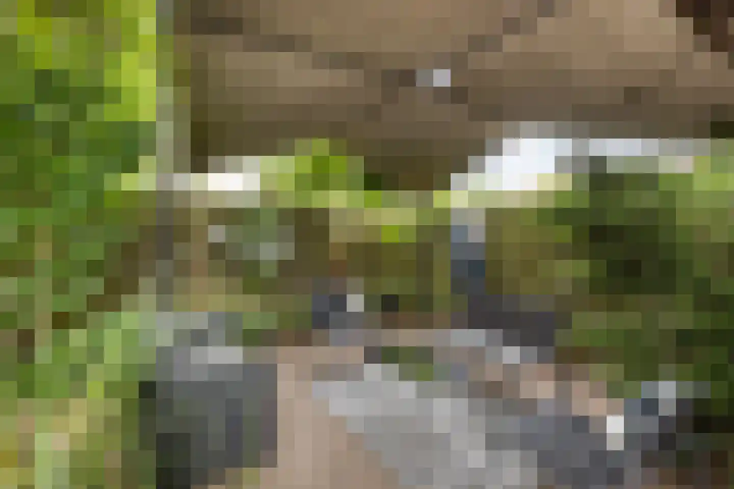 Ziekenhuisstraat 21 Hengelo thumbnail 38